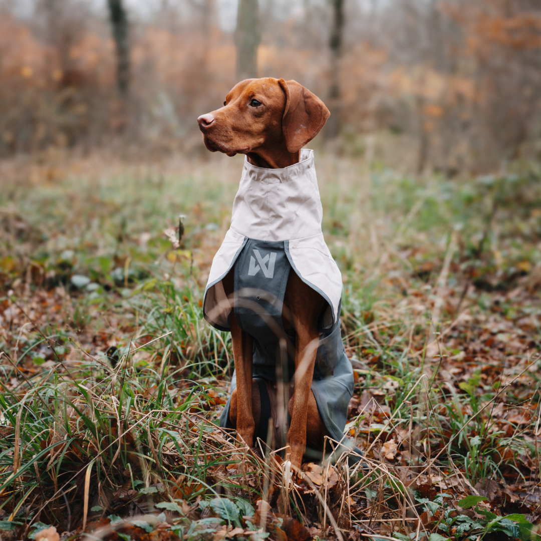 Non-Stop Dogwear Fjord Raincoat 2.0