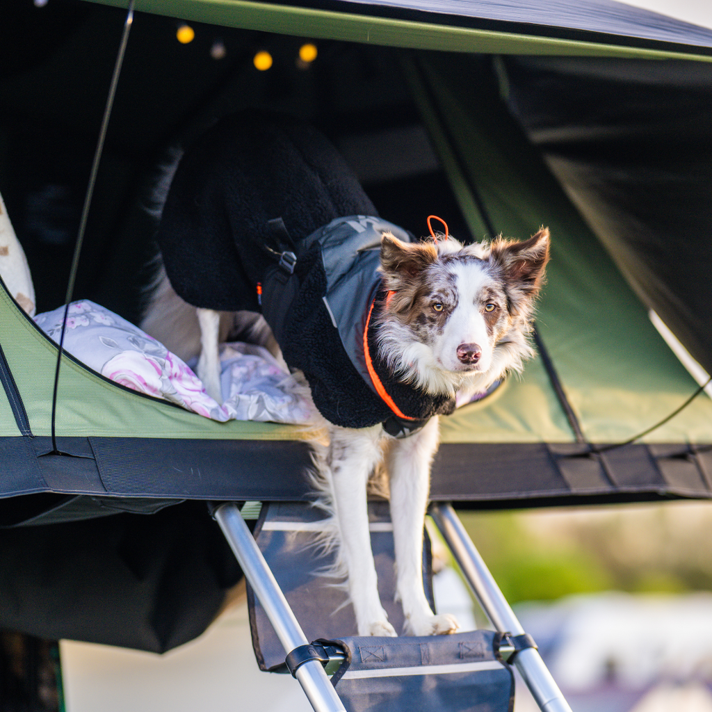 Non-Stop Dogwear Trekking Fleece