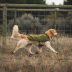 Ruffwear Overcoat Fuse