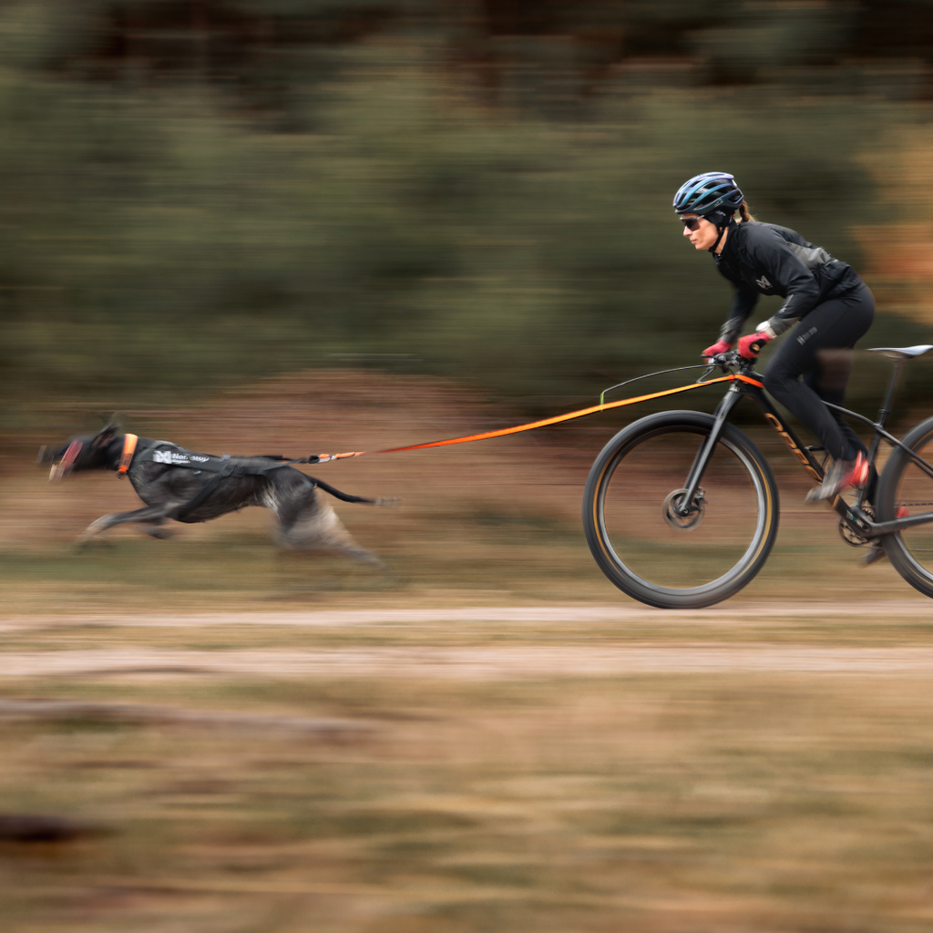 Non-Stop Dogwear Freemotion Harness Pro