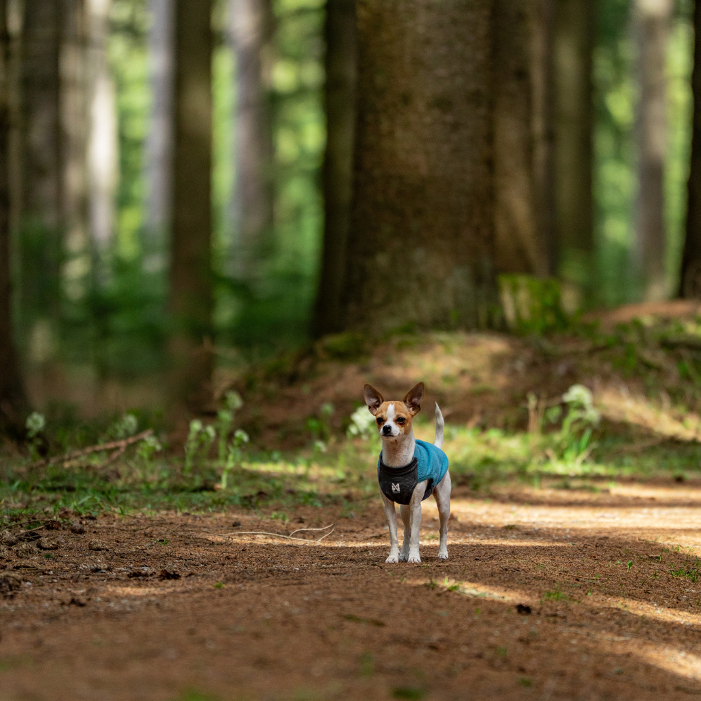 Non-Stop Dogwear Trail Quest Fleece Pullover