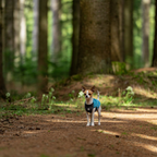 Non-Stop Dogwear Trail Quest Fleece Pullover