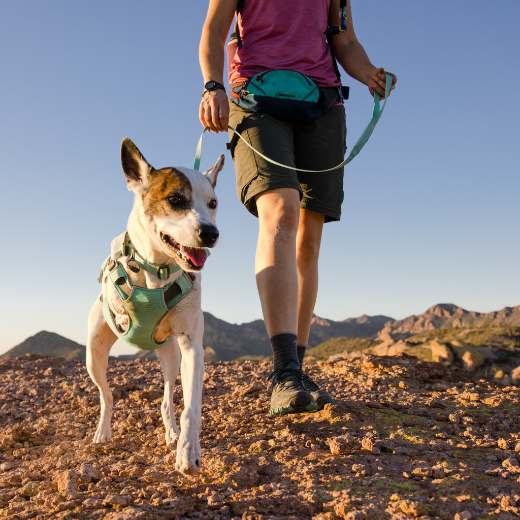 Correa Ruffwear Hi & Light™