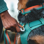 Ruffwear Front Range Mochila de Excursión