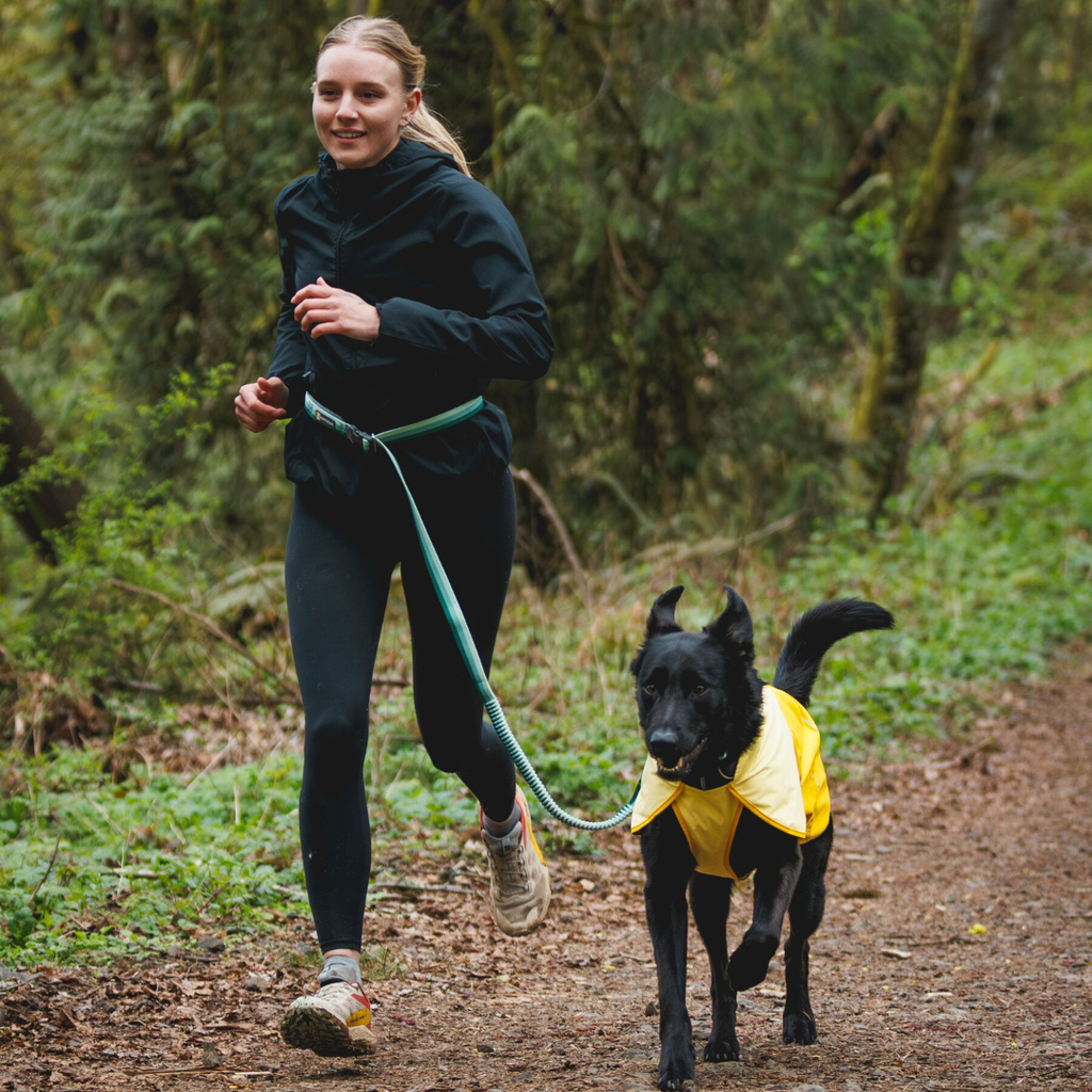 Ruffwear Roamer Correa elástica
