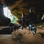 Ruffwear Hi & Light Arnés ligero