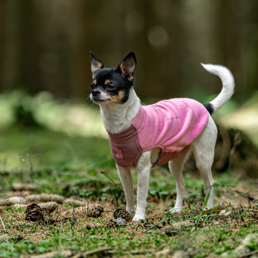Non-Stop Dogwear Trail Quest Fleece Pullover