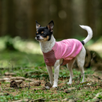Non-Stop Dogwear Trail Quest Fleece Pullover