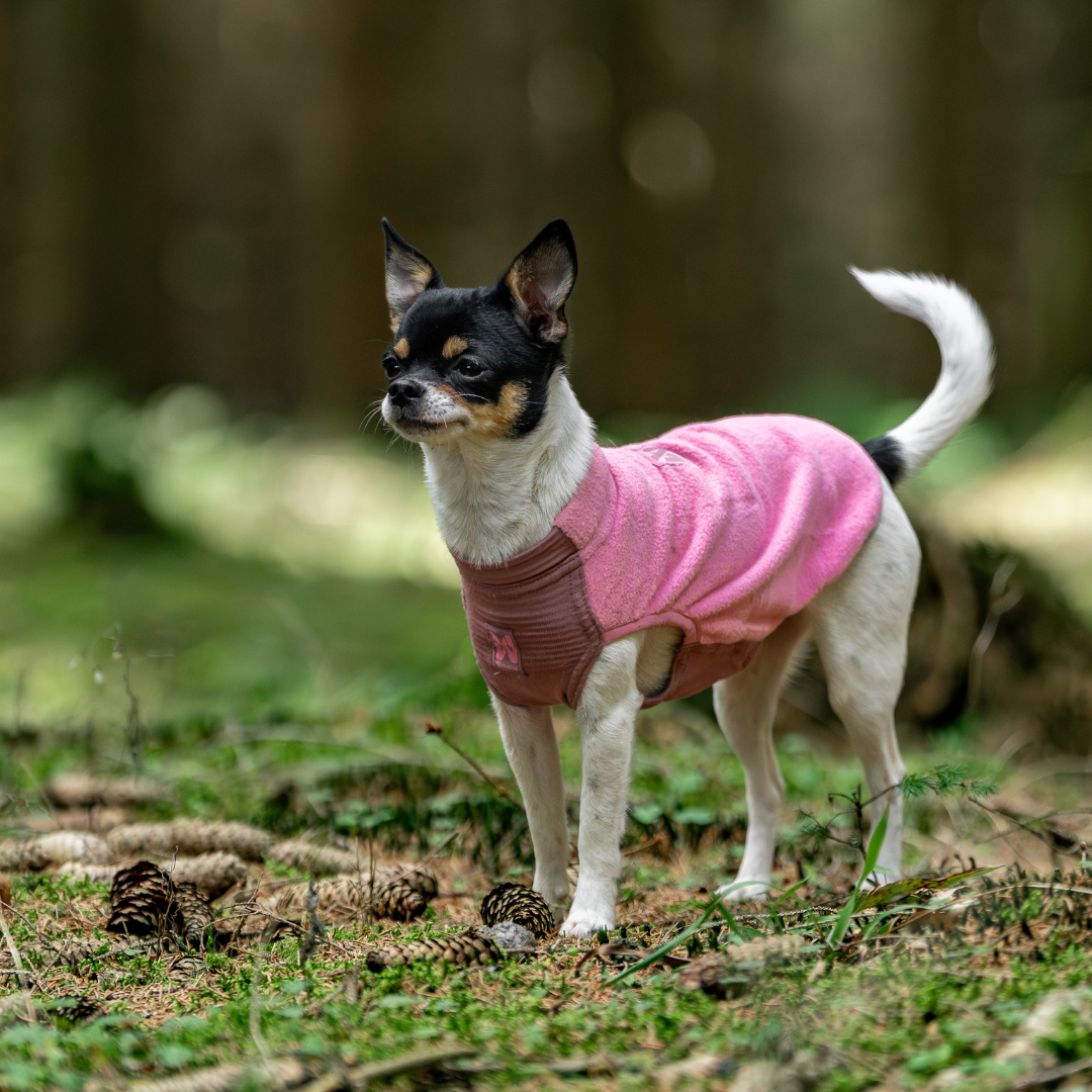 Non-Stop Dogwear Trail Quest Fleece Pullover