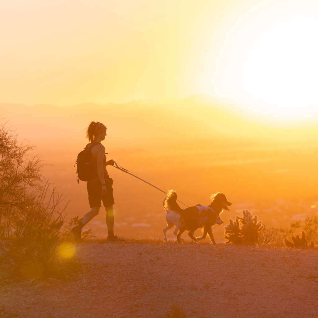 Correa Ruffwear Hi & Light™