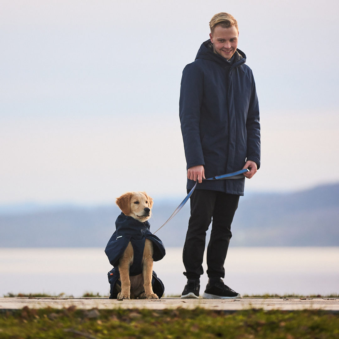 Non-Stop Dogwear Move Leash