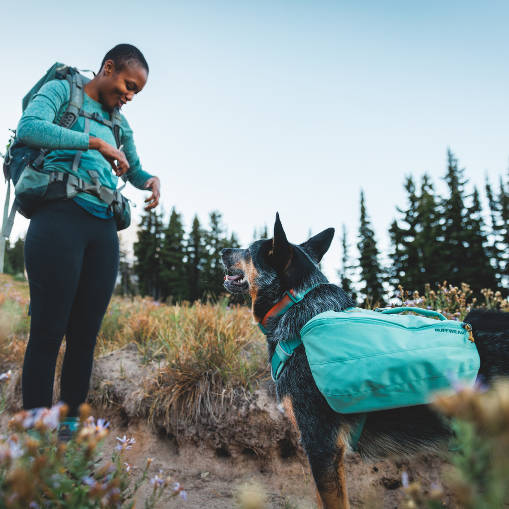 Ruffwear Front Range Mochila de Excursión