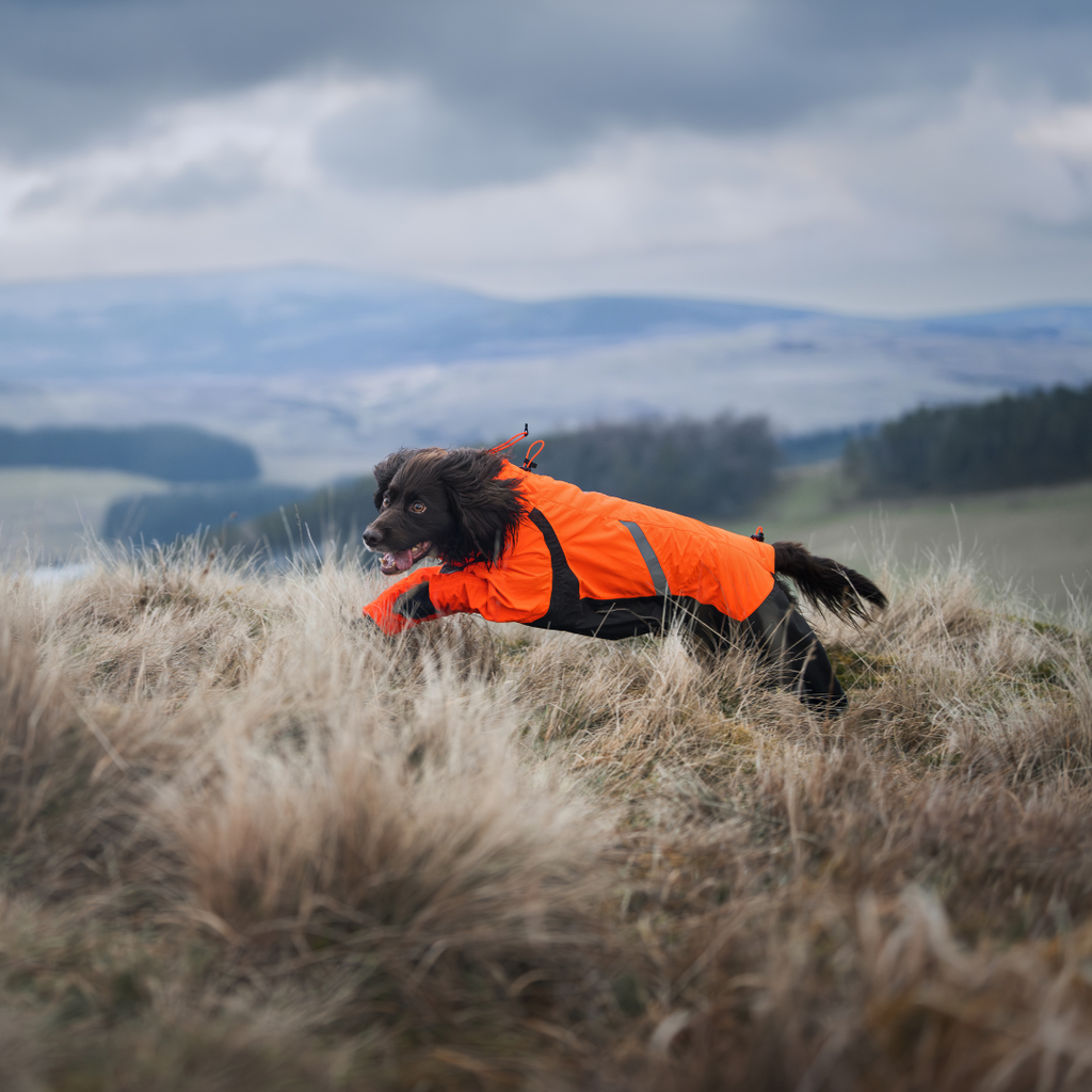 Non-Stop Dogwear Fjord Overall Regenjas