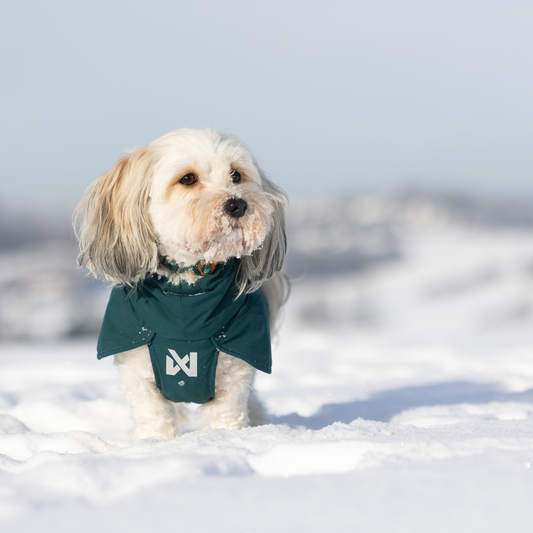 Non-Stop Dogwear Fjord Lined Raincoat
