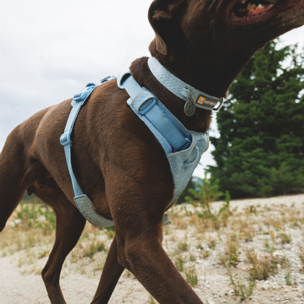 Ruffwear Collar Front Range Flex