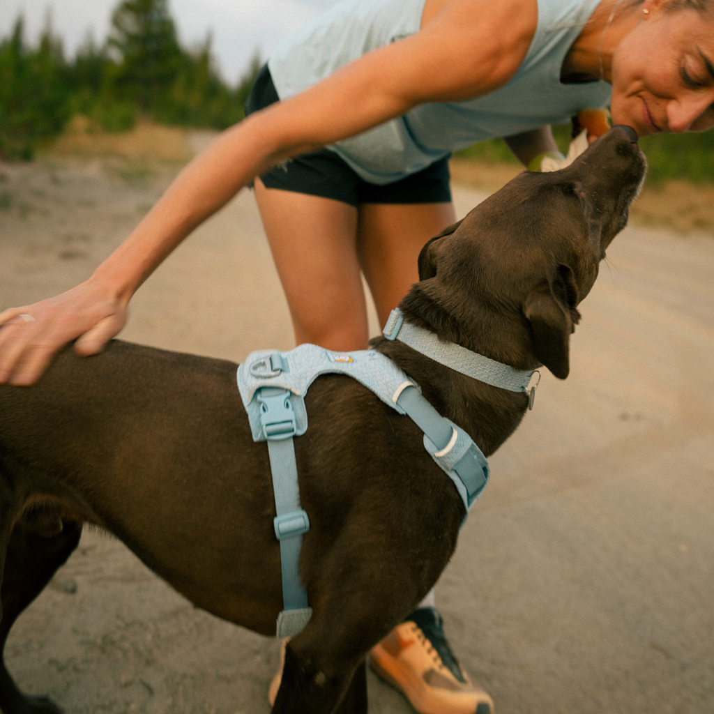 Ruffwear Front Range Flex Harness