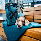 Non-Stop Dogwear Trekking Dog Bed