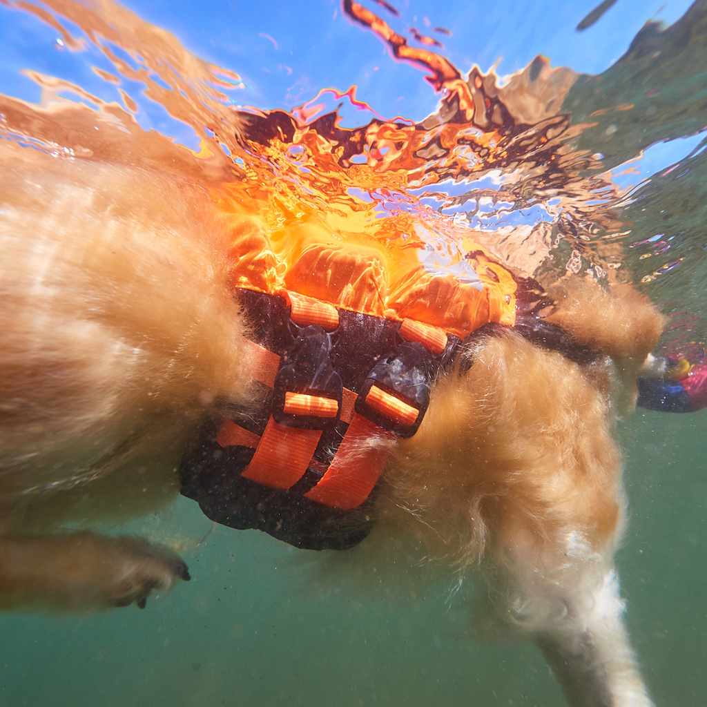 Non-stop Dogwear Protector Life Jacket