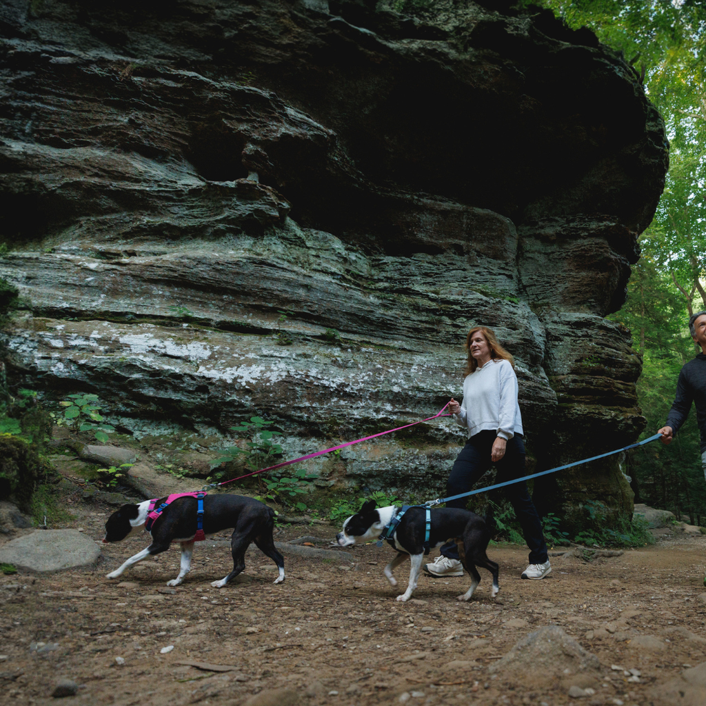 Ruffwear Hi & Light Arnés ligero