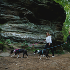 Ruffwear Hi & Light Arnés ligero