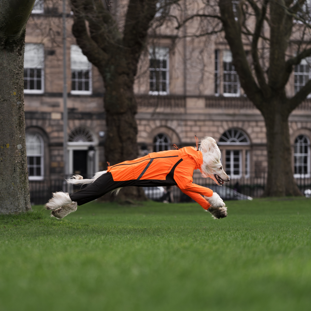 Non-Stop Dogwear Fjord Overall Regenjas