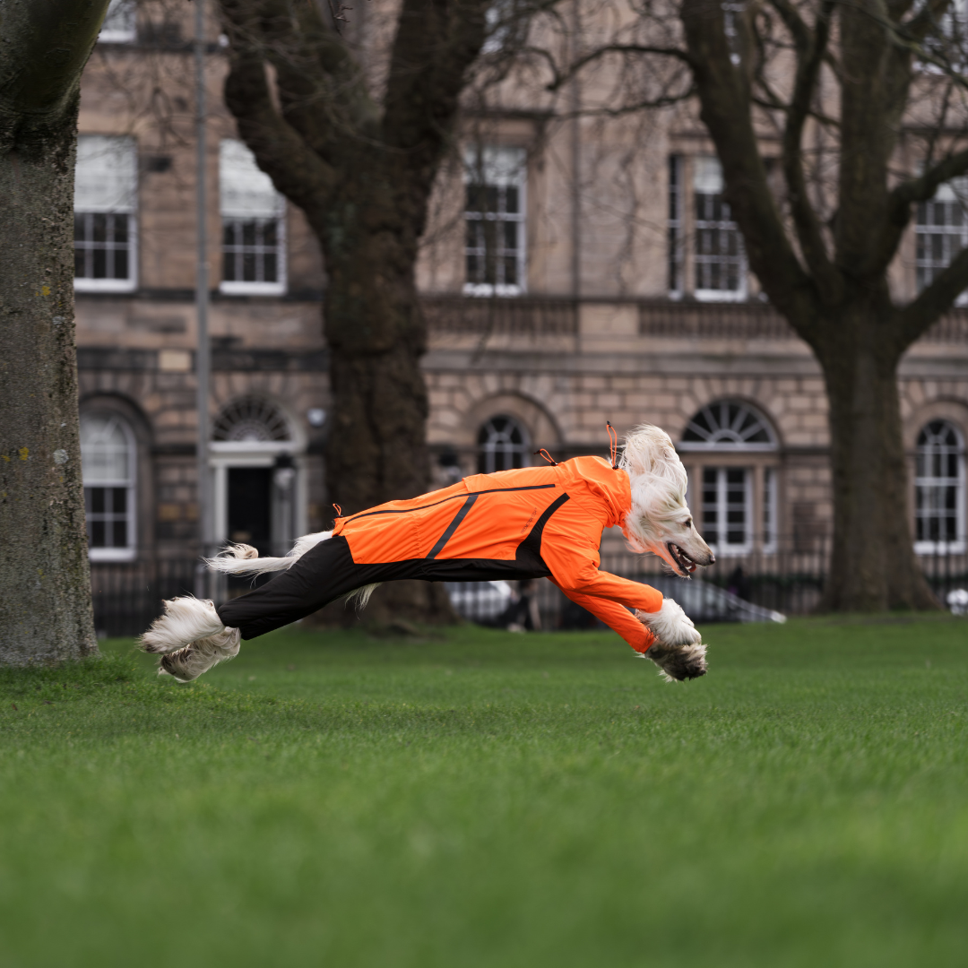 Non-Stop Dogwear Fjord Overall Regenjas