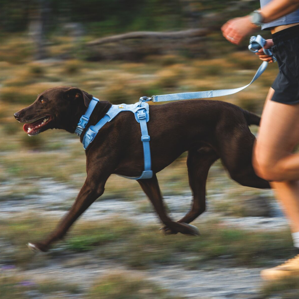 Ruffwear Correa Front Range Flex