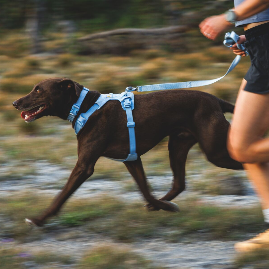 Ruffwear Correa Front Range Flex