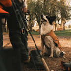 Ruffwear Overcoat Fuse