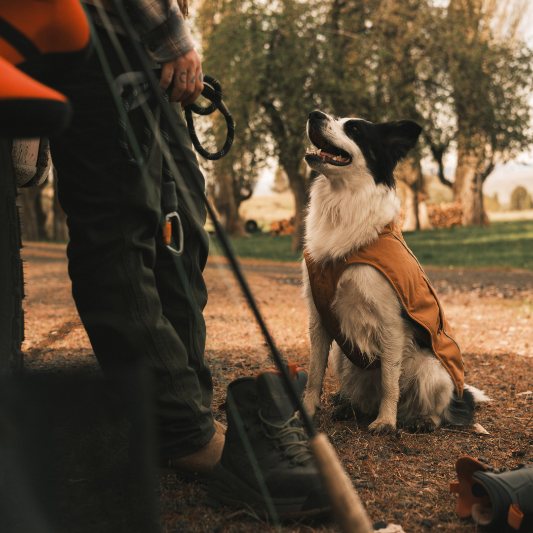 Ruffwear Overcoat Fuse