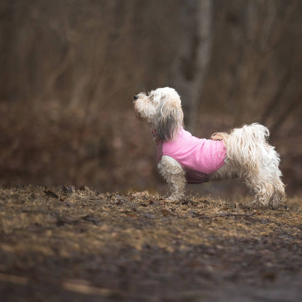 Non-Stop Dogwear Trail Quest Fleece Pullover
