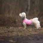 Non-Stop Dogwear Trail Quest Fleece Pullover