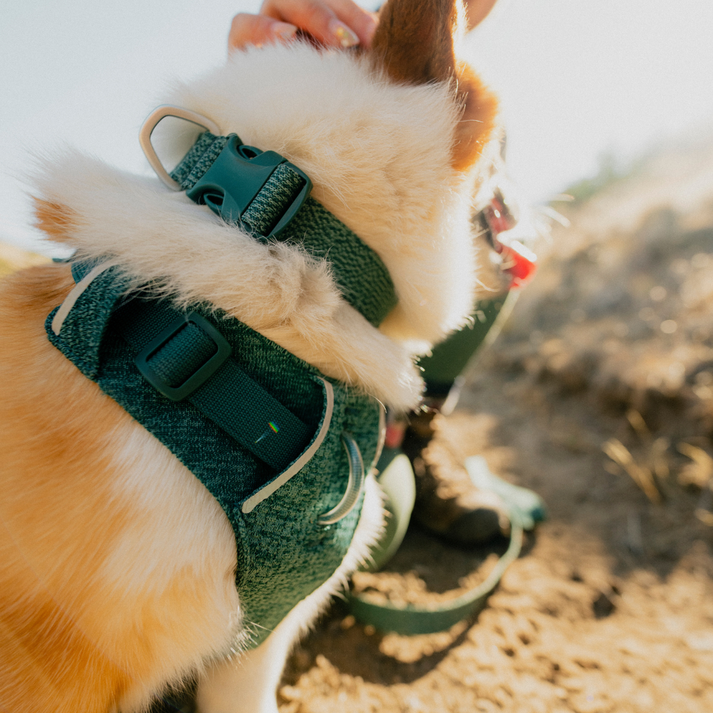 Ruffwear Front Range Flex Harness