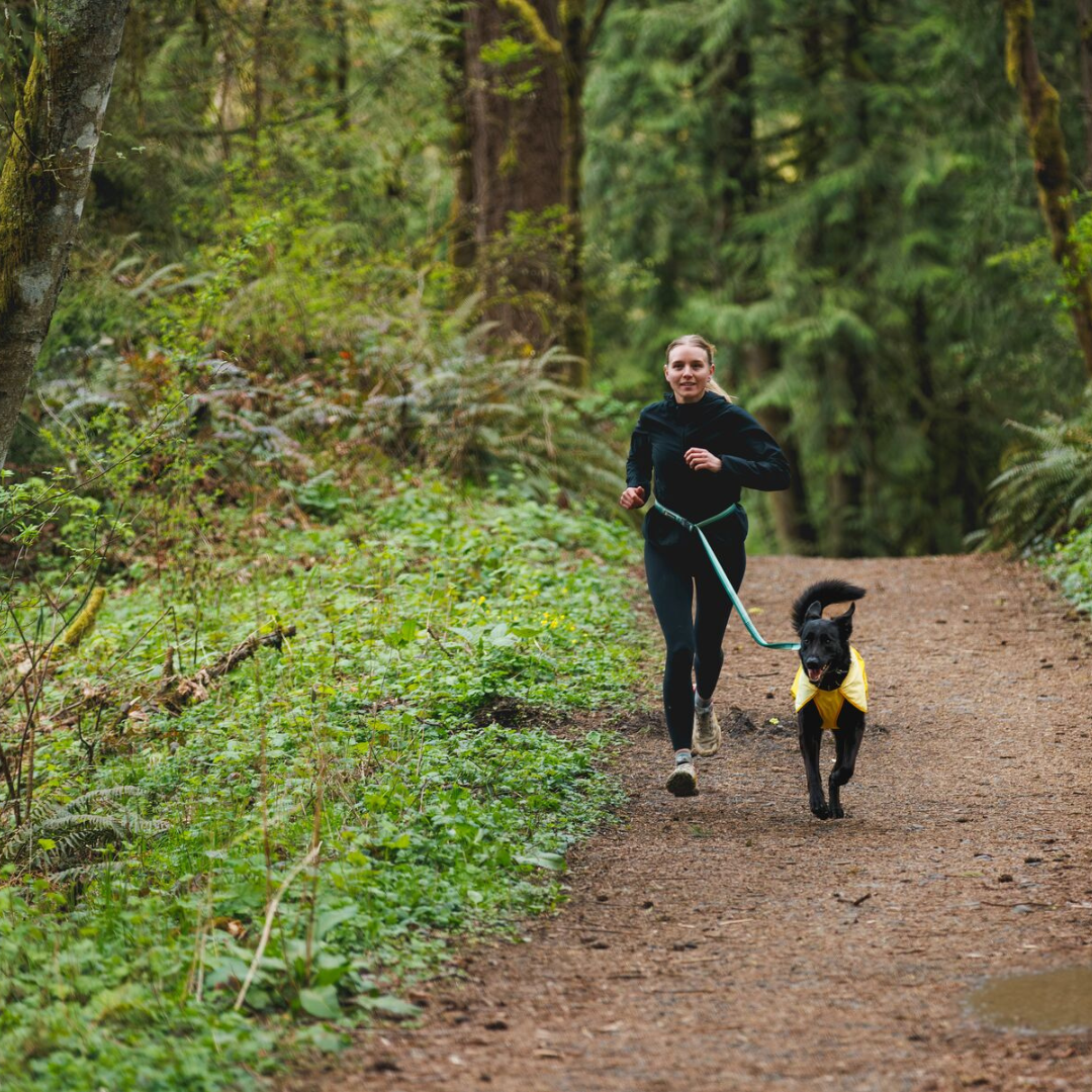 Ruffwear Roamer Correa elástica