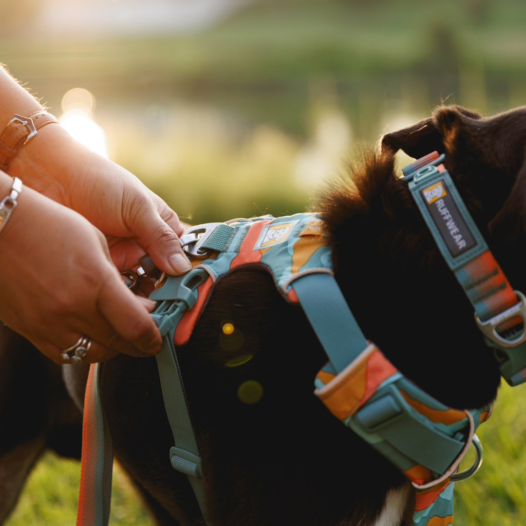 Ruffwear Arnés Front Range