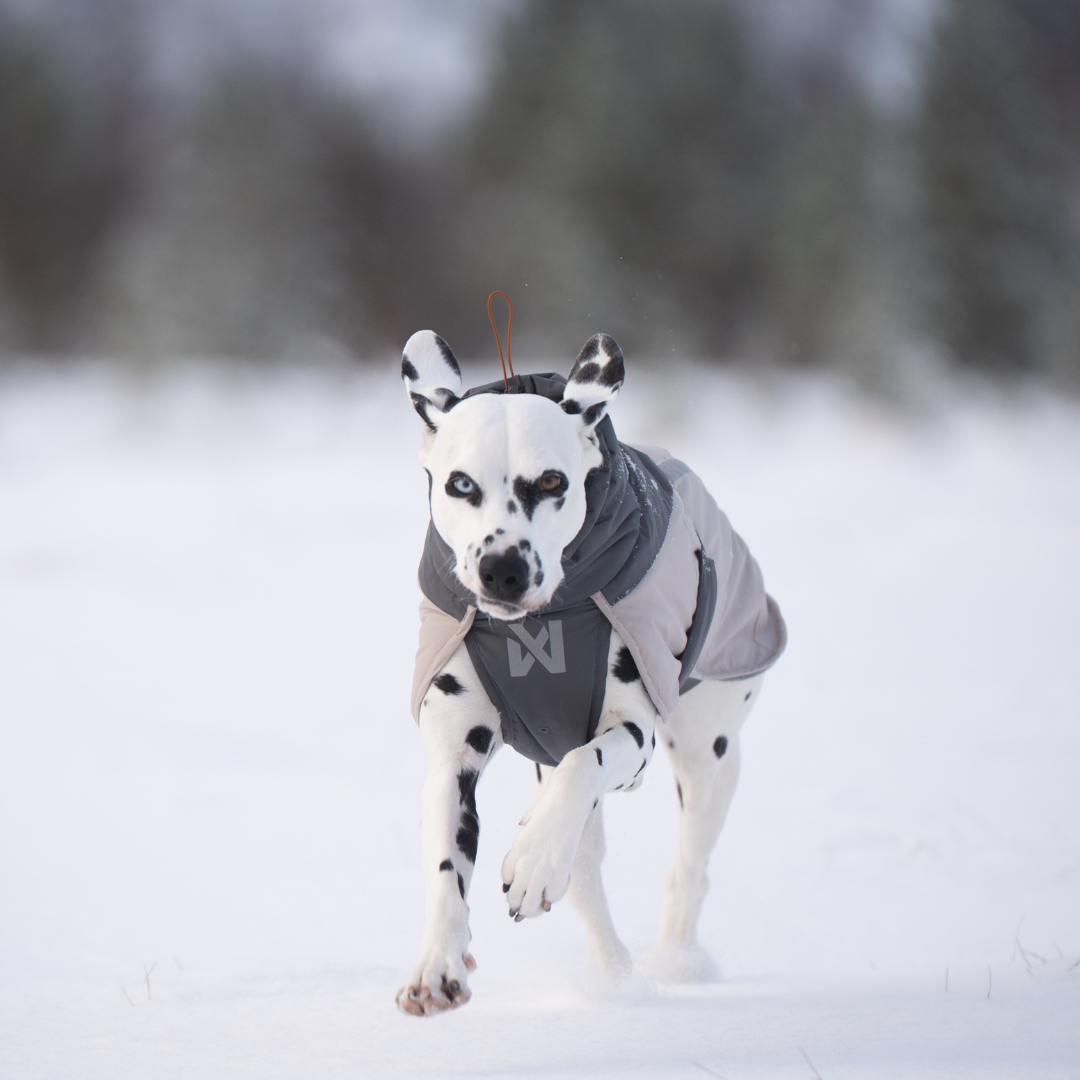 Non-Stop Dogwear Glacier Wool Jacket 3.0