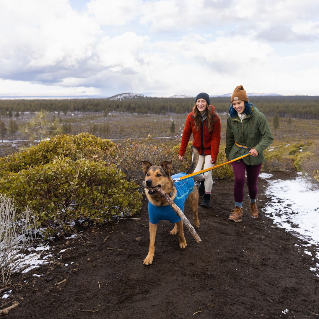 Ruffwear Roamer Correa elástica