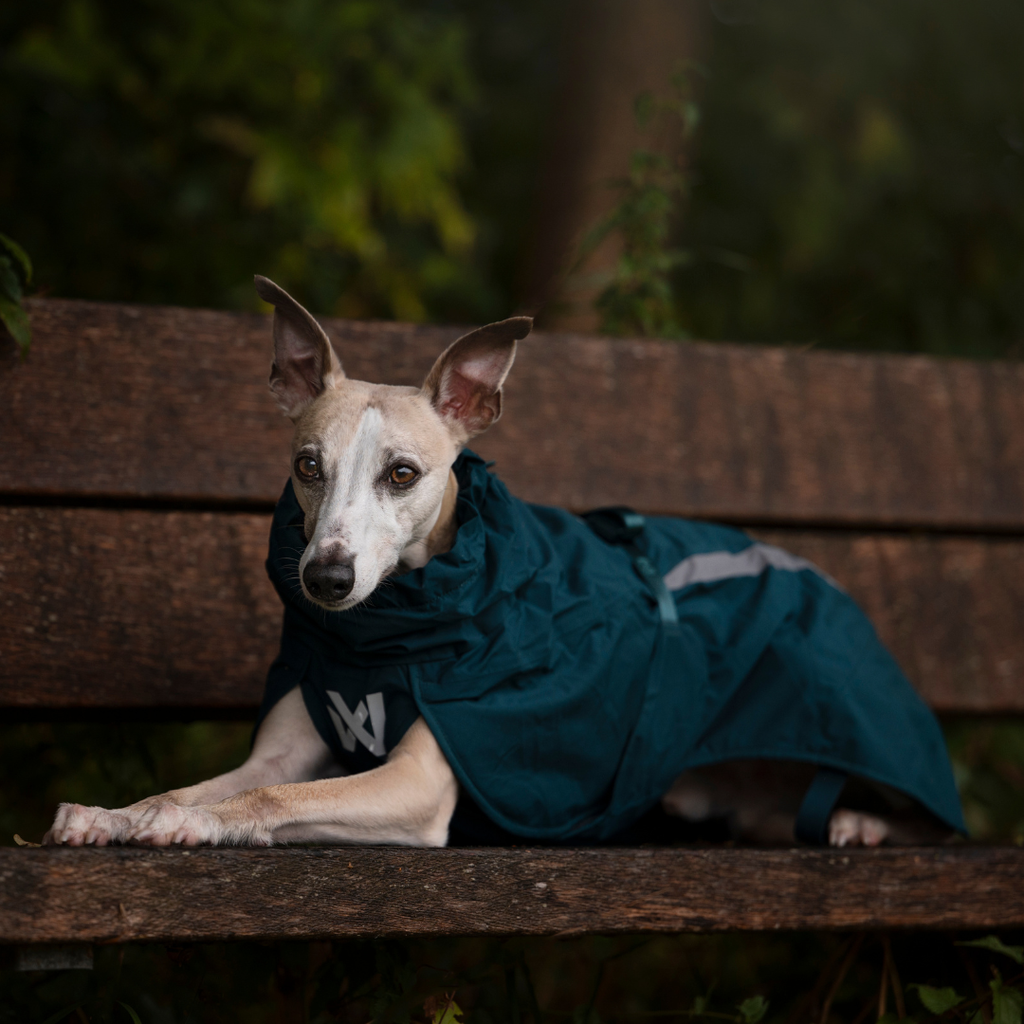 Non-Stop Dogwear Fjord Lined Raincoat
