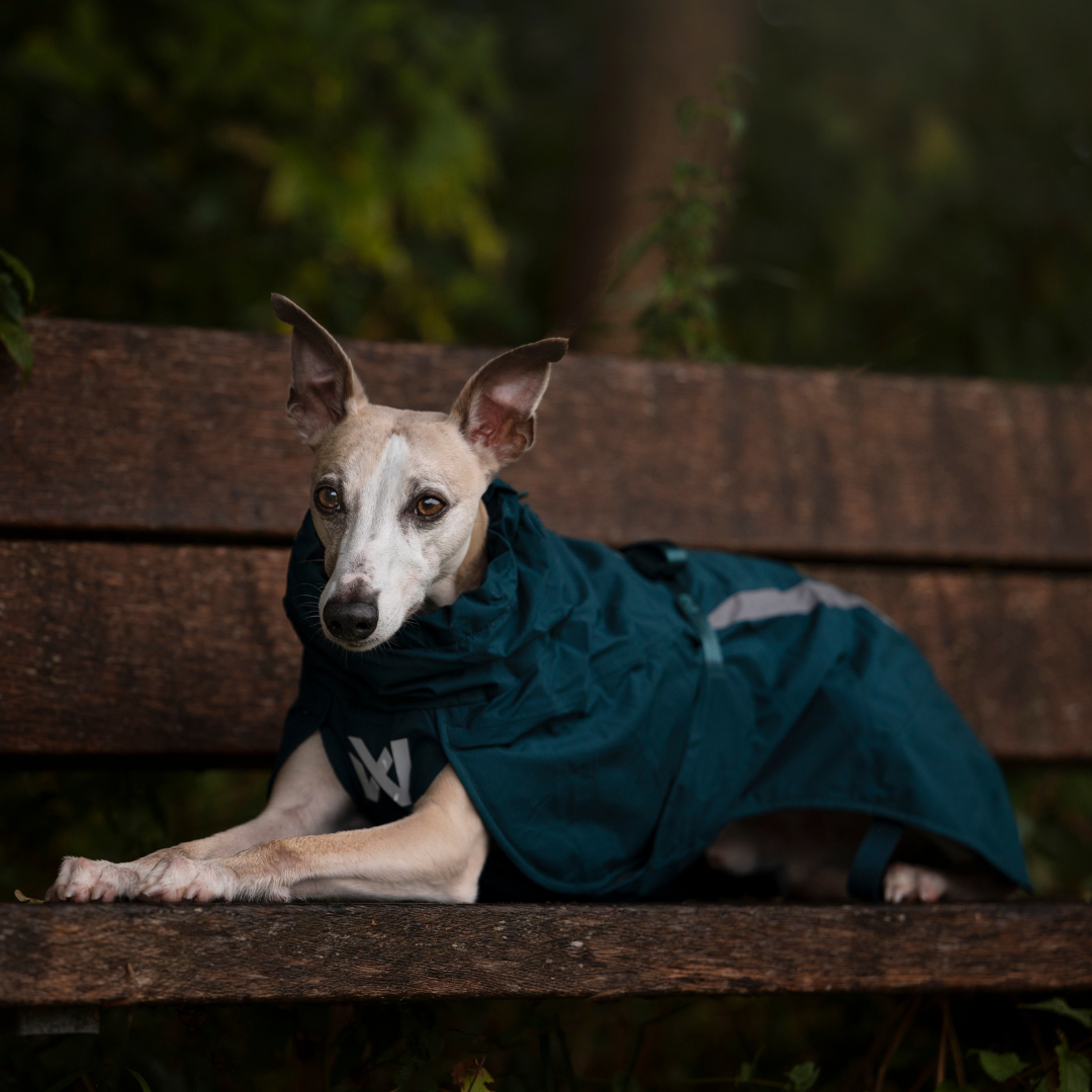 Non-Stop Dogwear Fjord Lined Raincoat