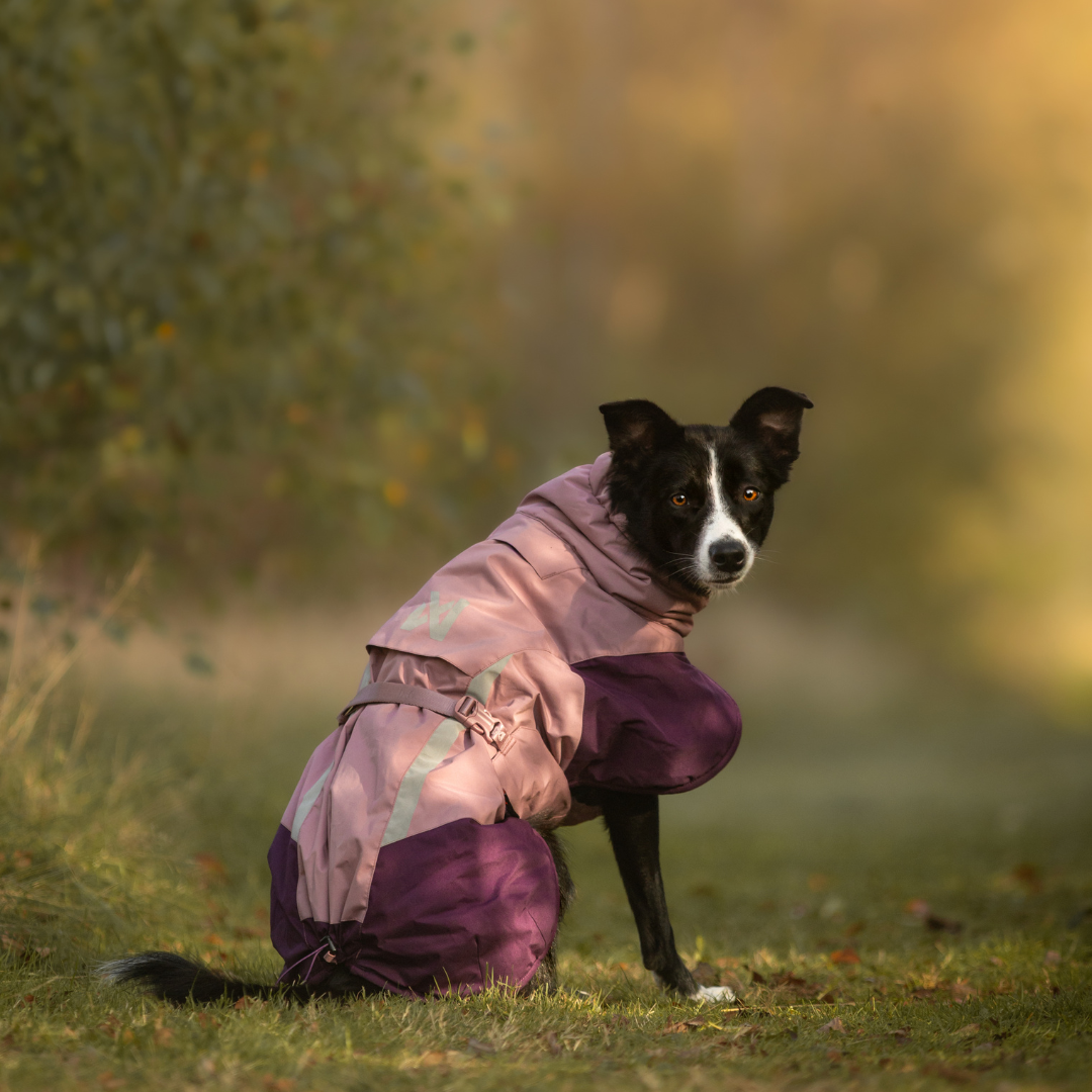 Non-Stop Dogwear Glacier Jacket 3.0