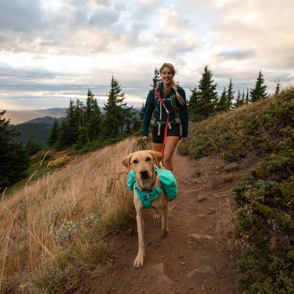 Ruffwear Front Range Mochila de Excursión