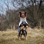 Non-Stop Dogwear Fjord Raincoat 2.0