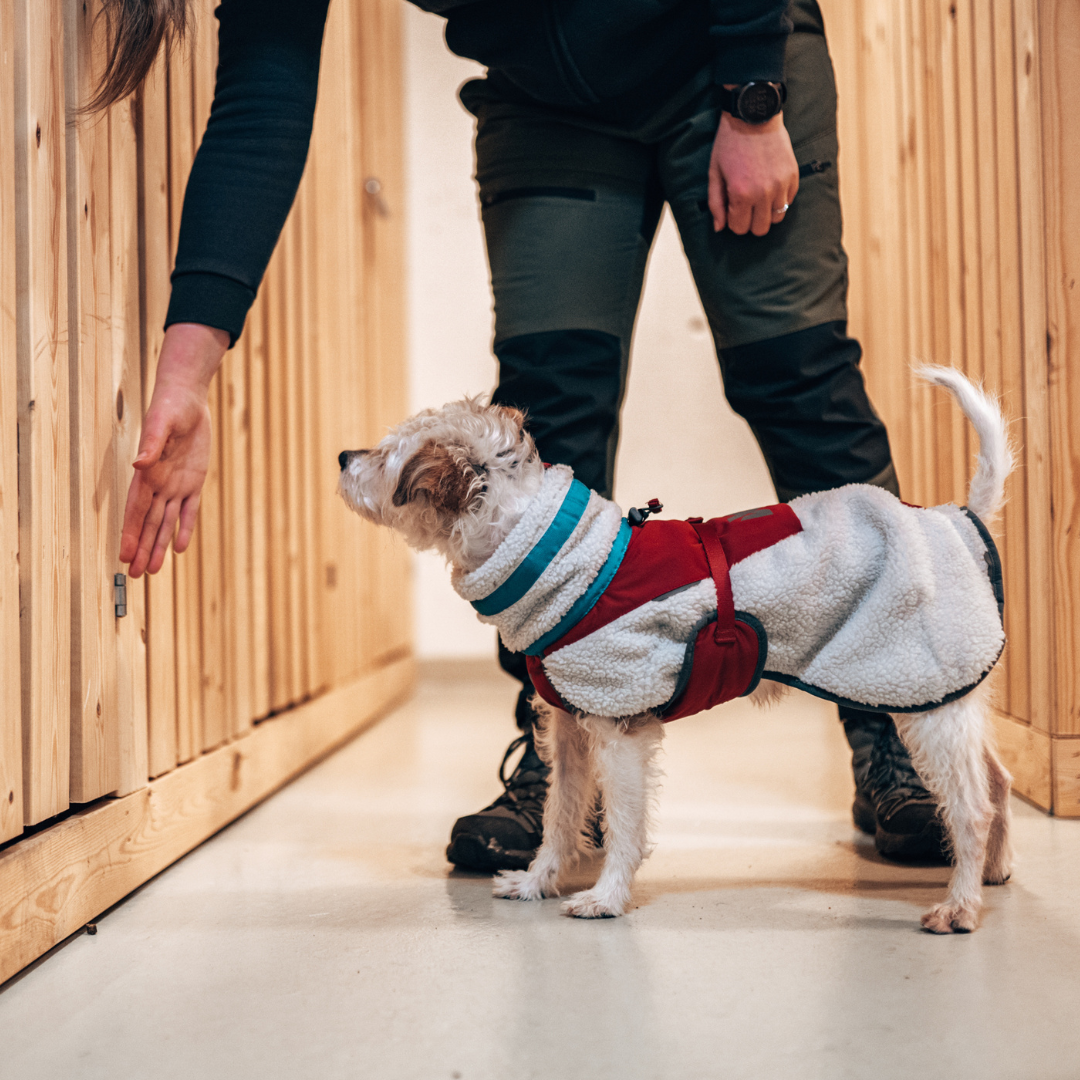 Non-Stop Dogwear Trekking Fleece