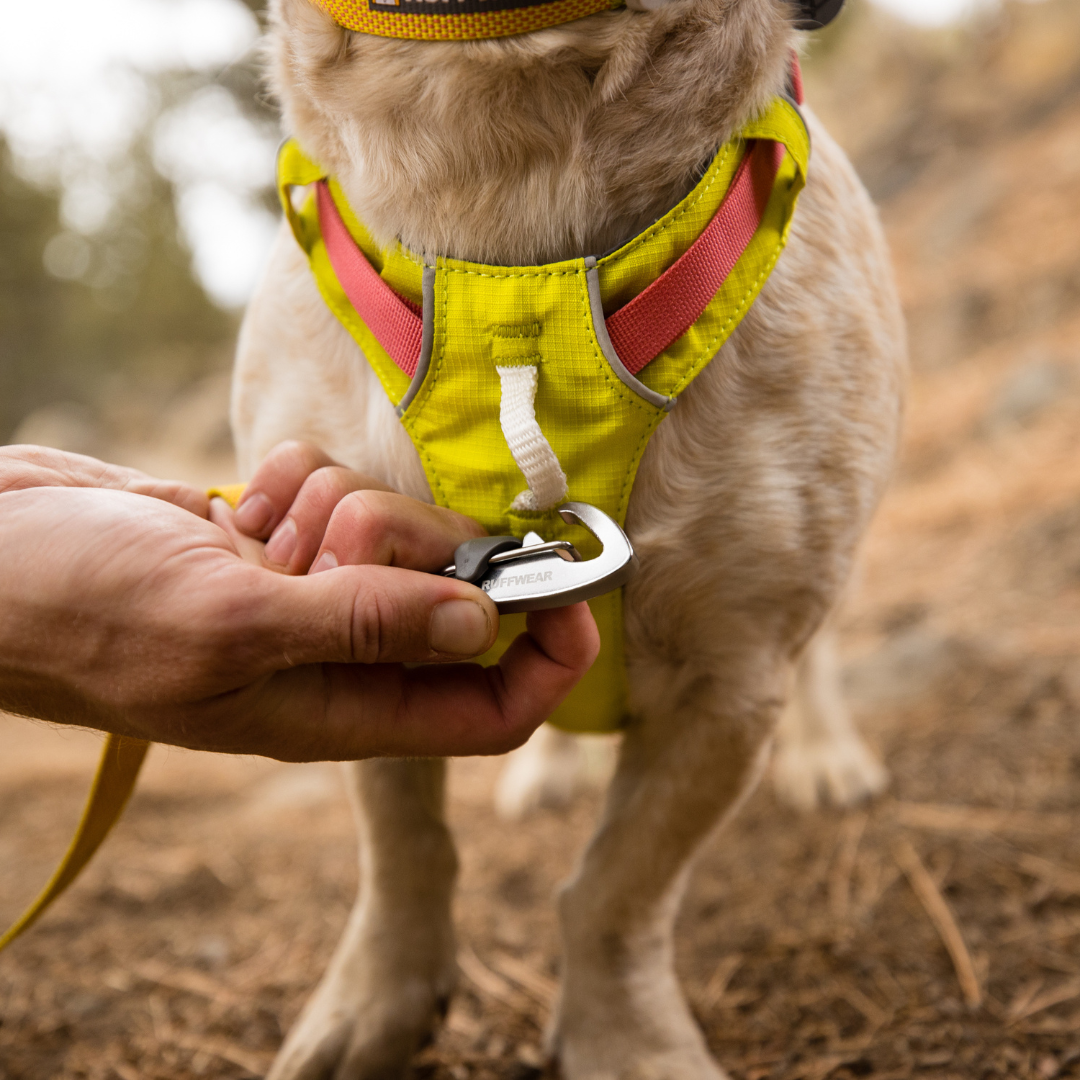 Ruffwear Hi & Light Arnés ligero