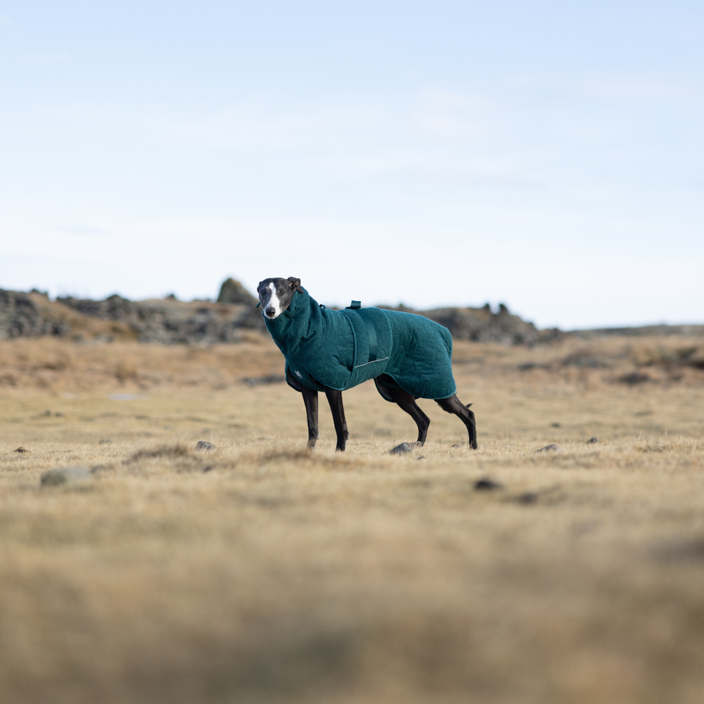 Non-Stop Dogwear Drying Coat