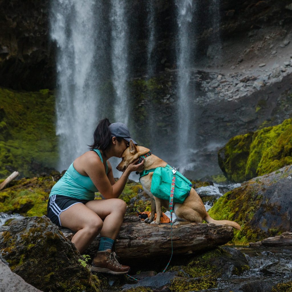 Ruffwear Front Range Mochila de Excursión
