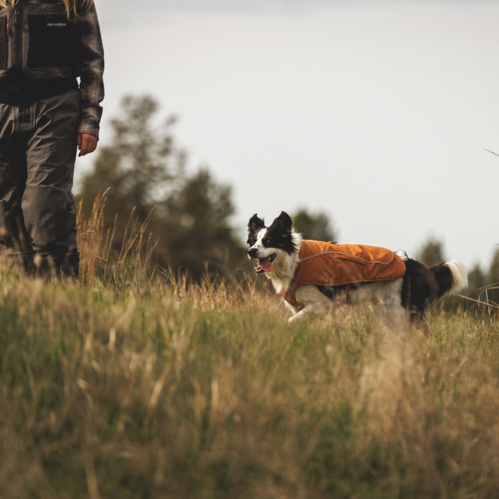 Ruffwear Overcoat Fuse