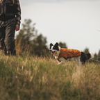 Ruffwear Overcoat Fuse