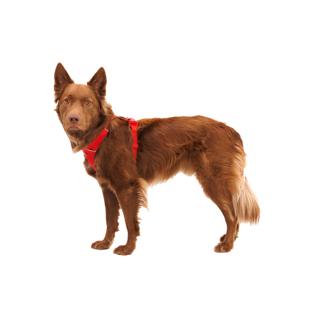 Ruffwear Arnés Front Range