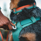 Ruffwear Collar Front Range™